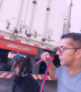 Galeria Canil Arcanine